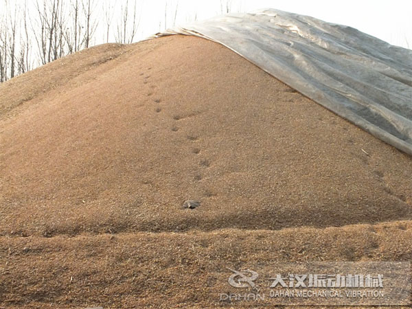 小麥糧食螺旋輸(shū)送機